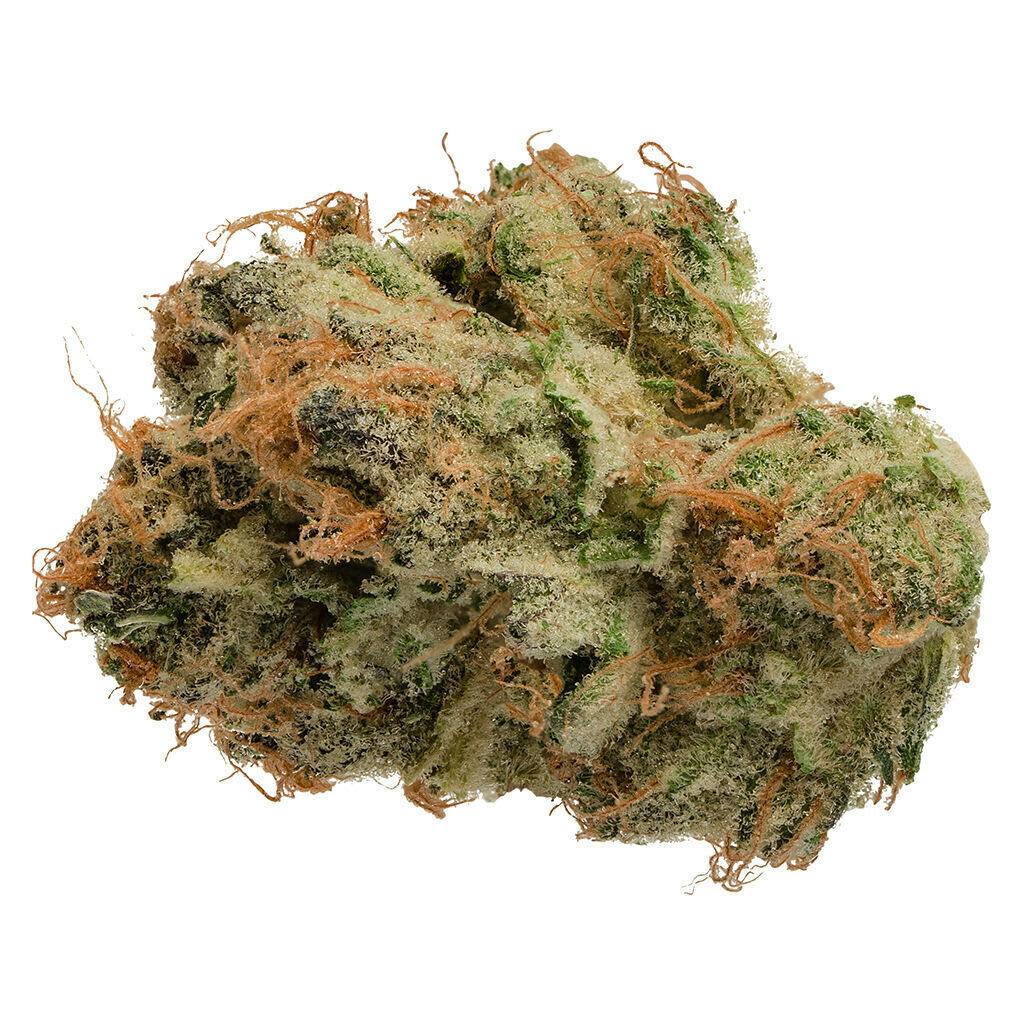 Tropicanna 3.5g - Tropicanna 3.5g Dried Flower