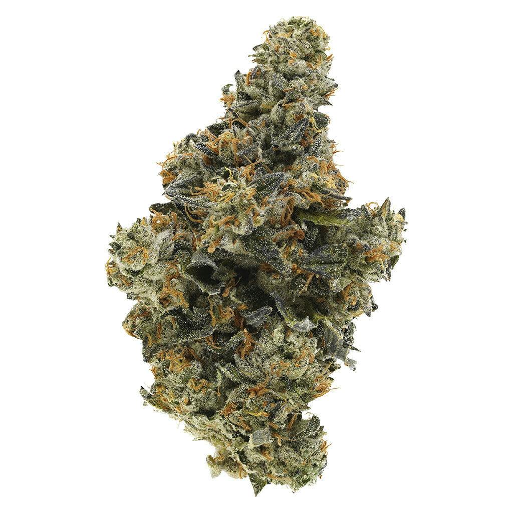 BC Organic Hollywood MAC - BC Organic Hollywood MAC 3.5g Dried Flower