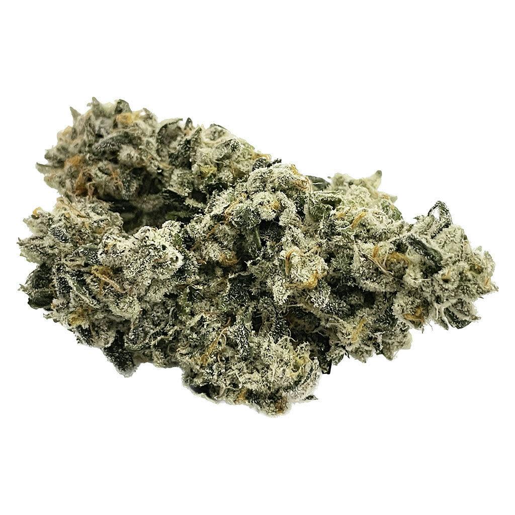 Astro Gas 3.5g - Astro Gas 3.5g Dried Flower