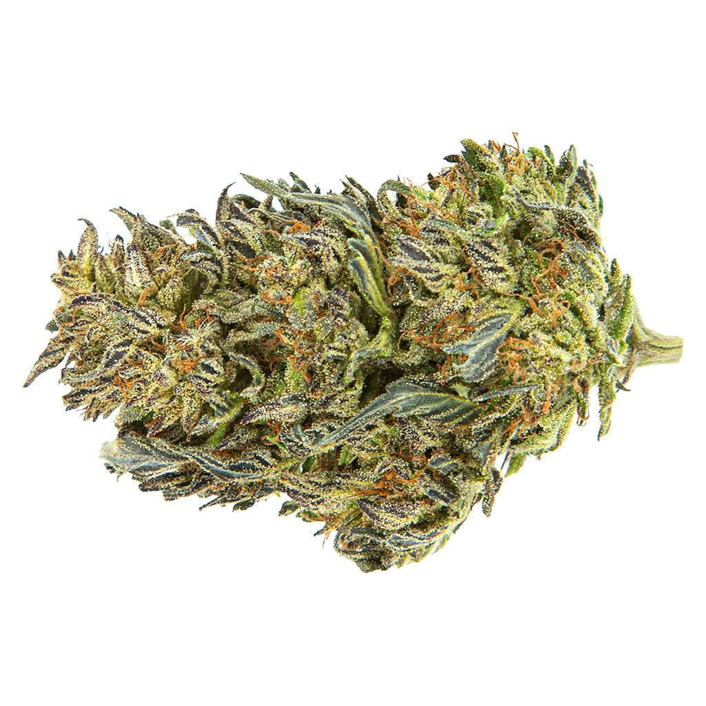 Frenchy Macaroni 14g - Frenchy Macaroni 14g Dried Flower