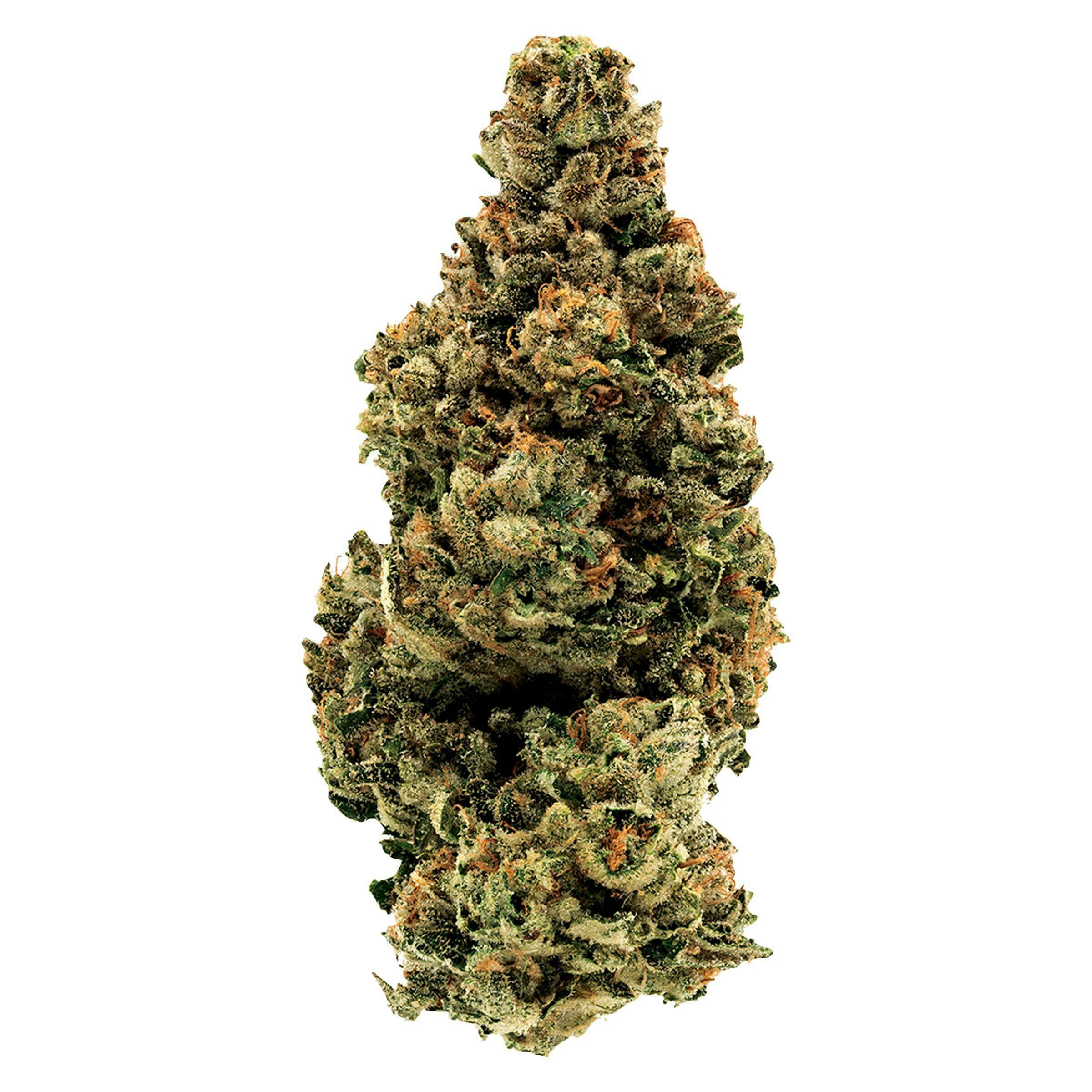 GG#4 3.5g - GG#4 3.5g Dried Flower