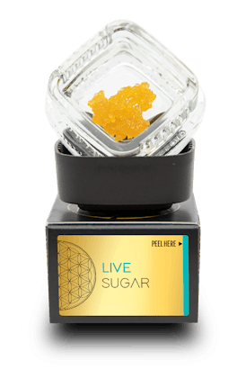 IT I Hell's OG I Live Sugar 1G