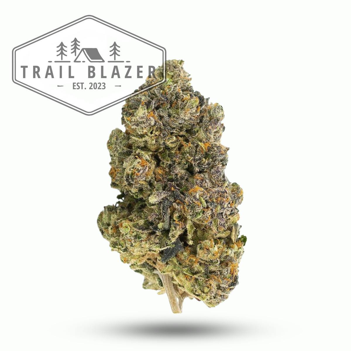 Trailblazer | Gelatti | Flower | H | [3.5g]