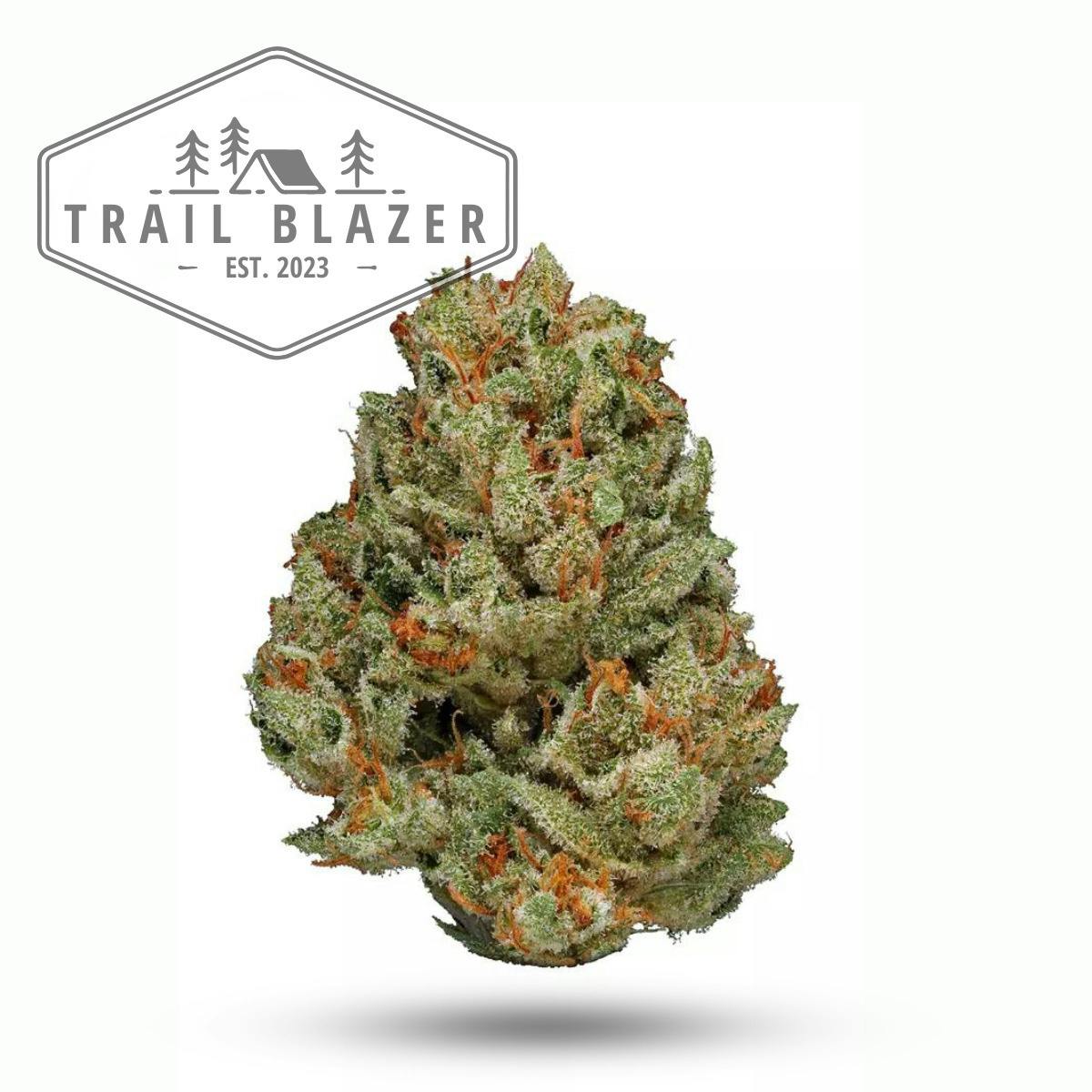 Trailblazer | WiFi | Flower | H | [3.5g]