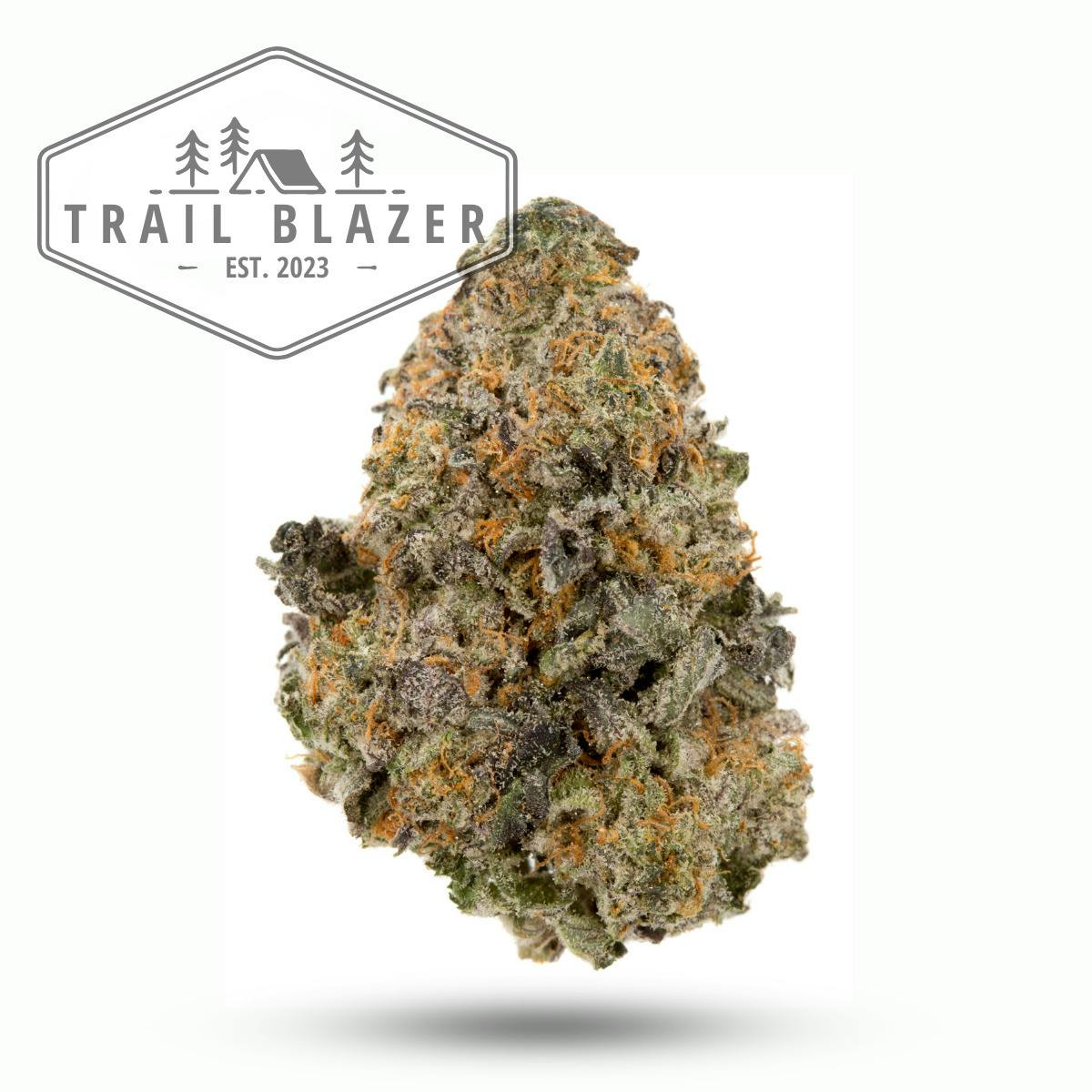 Kush Mintz | Flower | H | [3.5g]