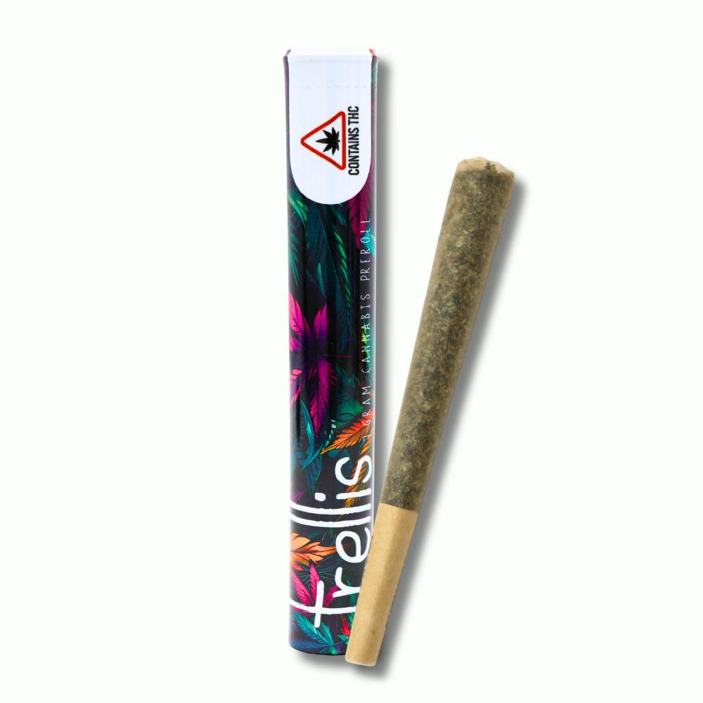 Pre Roll | Beach Babe | [1g] | Hybrid