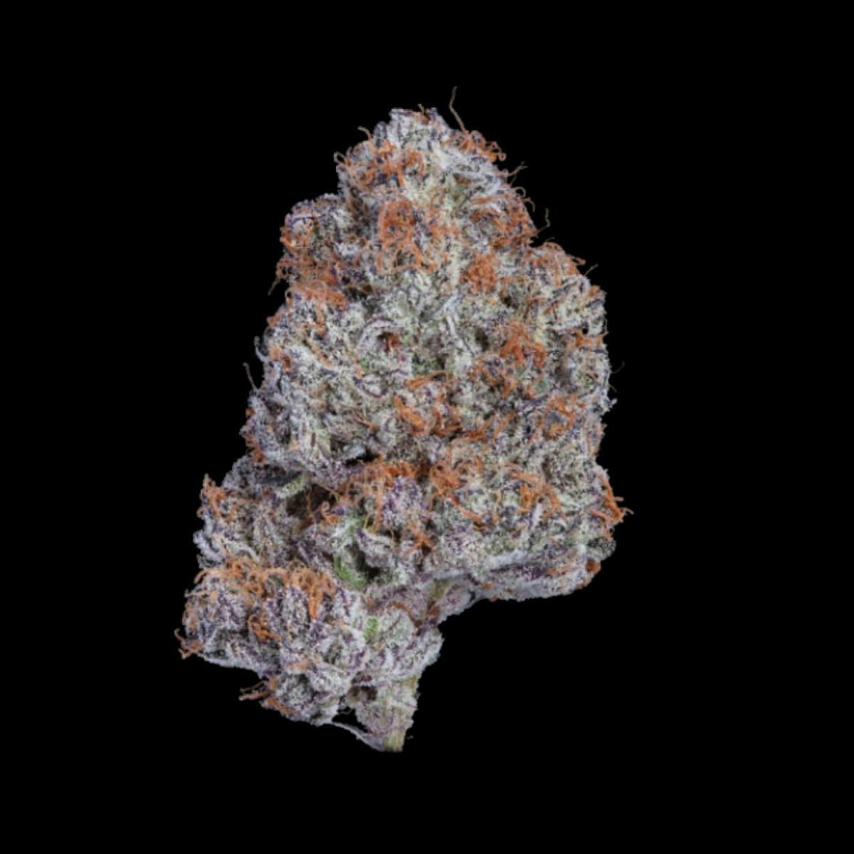 Paul's Boutique | Ice Cream Cake | Flower | I | [3.5g]