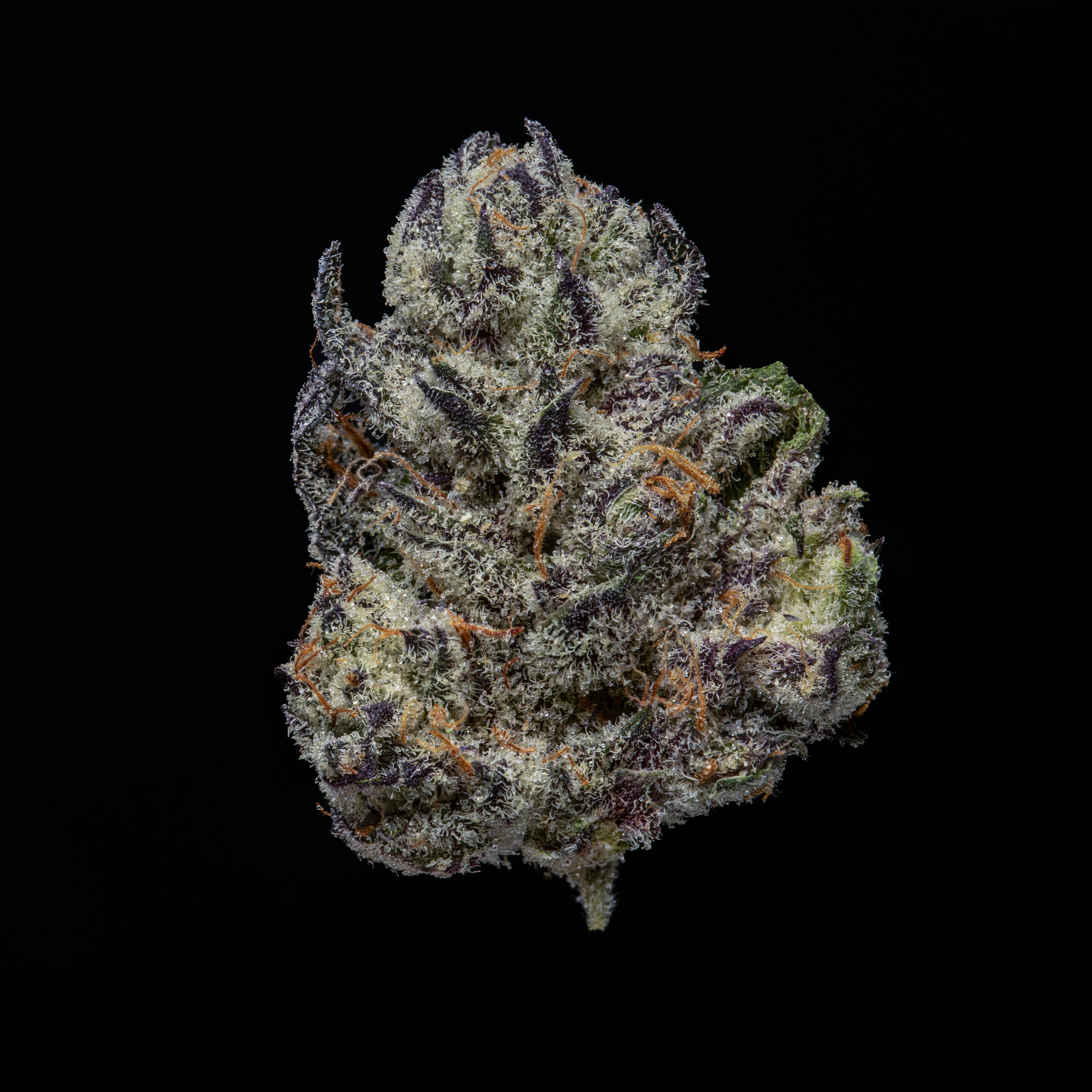 NOBO Smalls Flower 14g - White Truffle