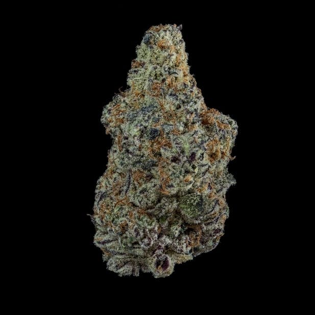 NoBo Flower 3.5g - Dante's Inferno at JAR Cannabis Co. Dispensary - Carrabassett (Sugarloaf)