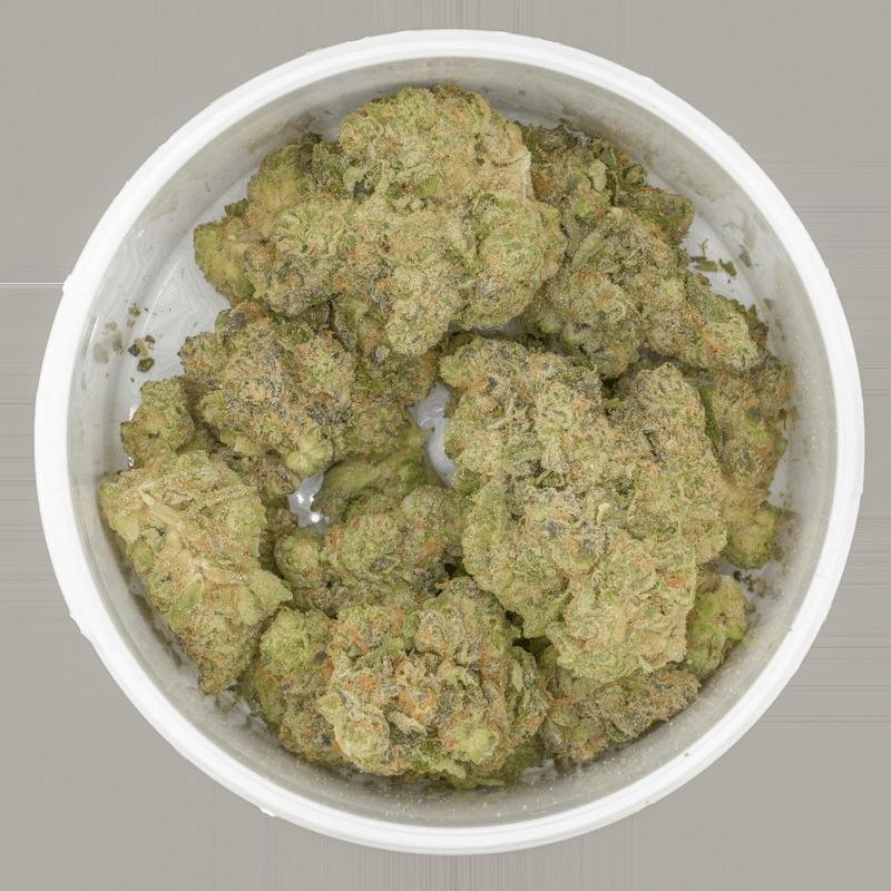 Gush Mints 14g (SM)