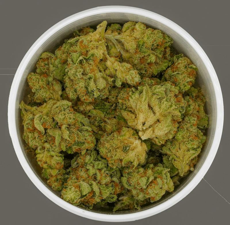 Grape Sitter