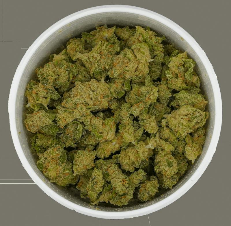 Romulan