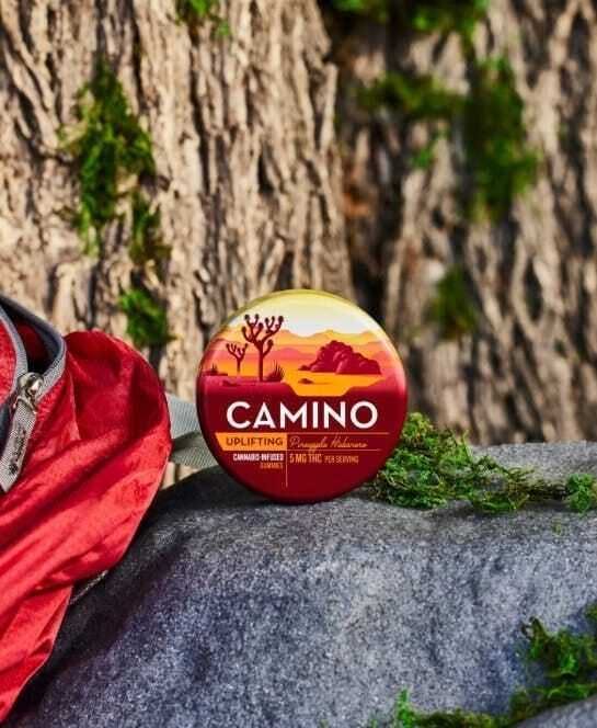 CAMINO — Uplifting Pineapple Habanero