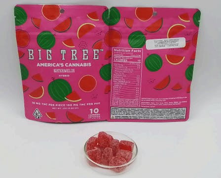 Big Tree — Big Tree Bag - Watermelon