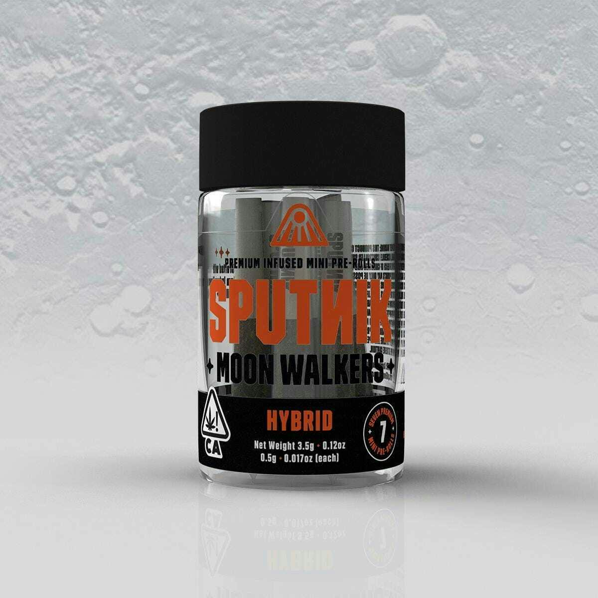 Sputnik: Moon Walkers