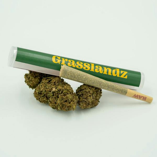 Flower Bag-IX | Lifted North | Blueberry Muffin at Hempire