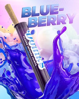 DOINKS - Flavor Infused Blunt 1g - BLUBERRY