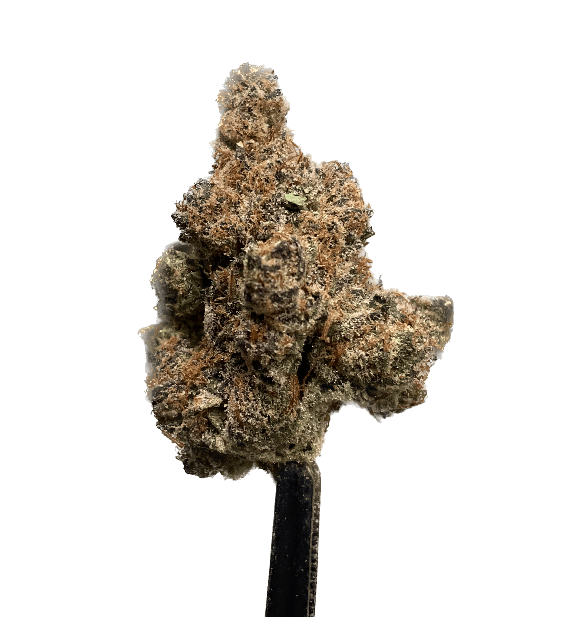 FUNK FROM MARS #10 (IH)
