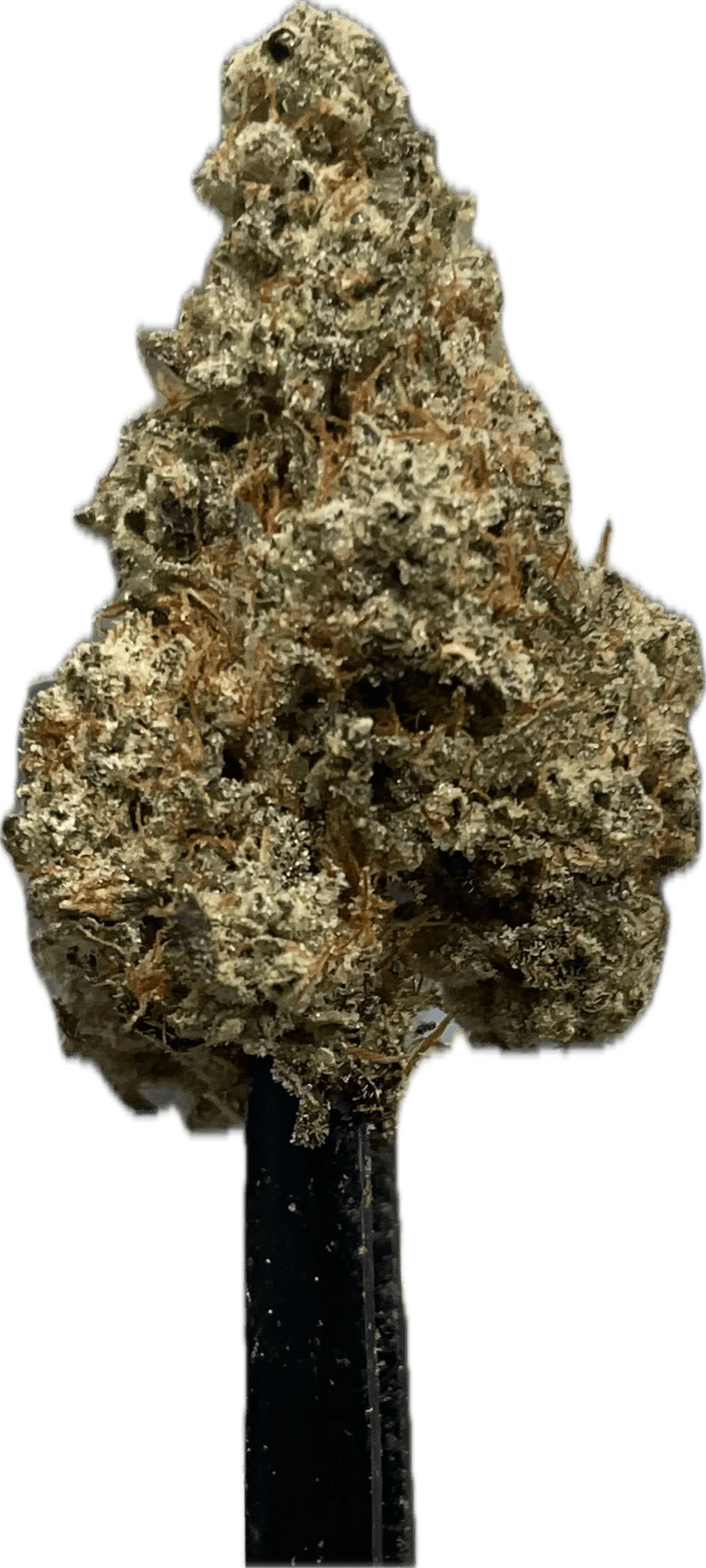 SFV OG (IH)