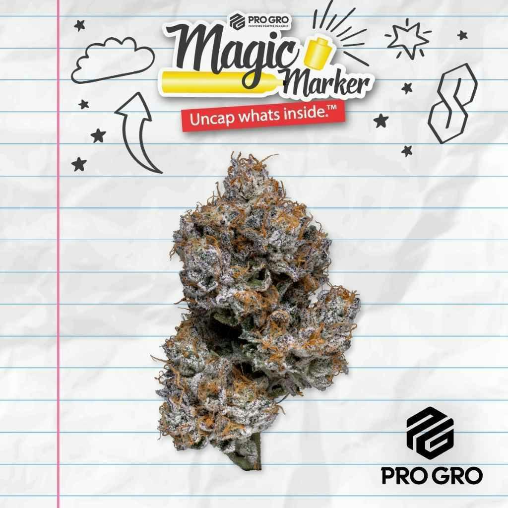 Pro Gro Magic Marker