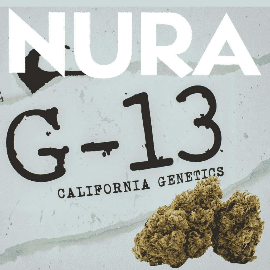 Nura Cannabis G-13