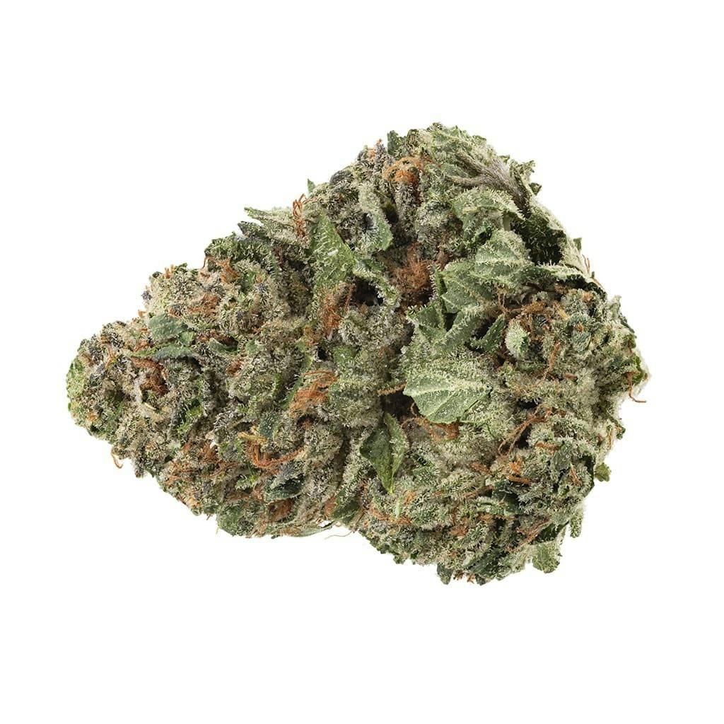 Bandwagon Hybrid 28g Dried Flower