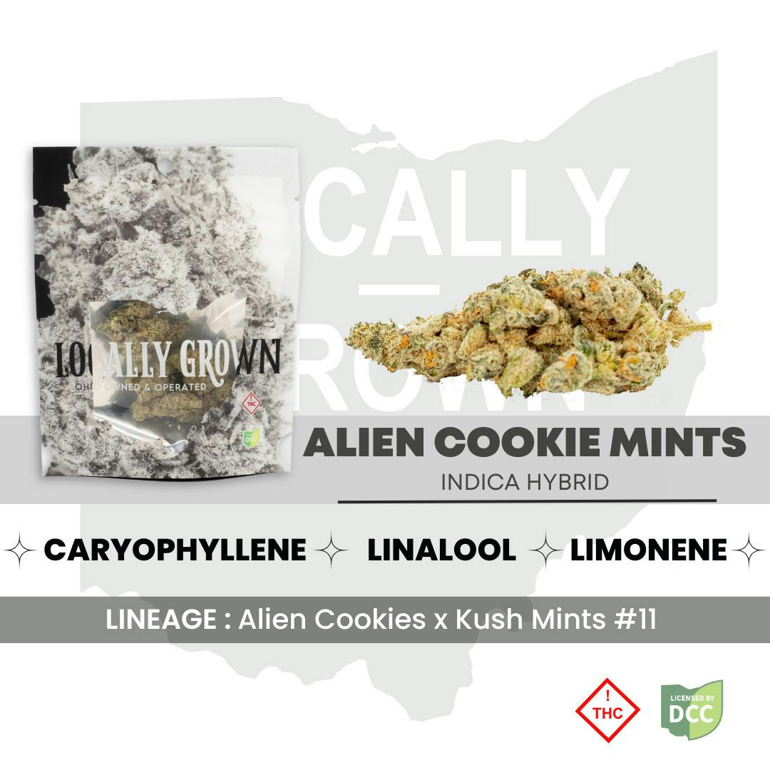 Alien Cookie Mints (Indica-Hybrid) at Pure Ohio Wellness