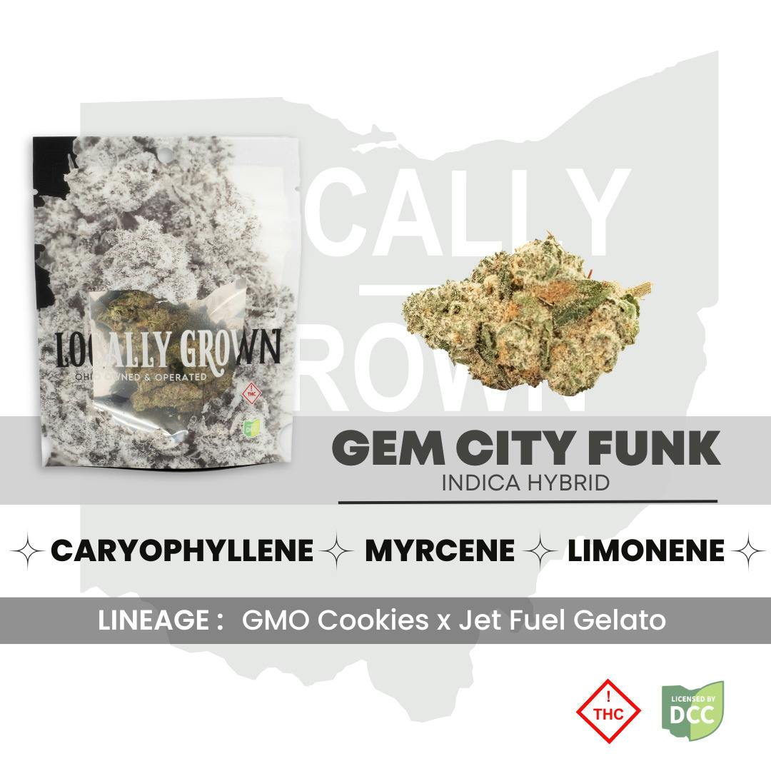 Gem City Funk (H) at Pure Ohio Wellness