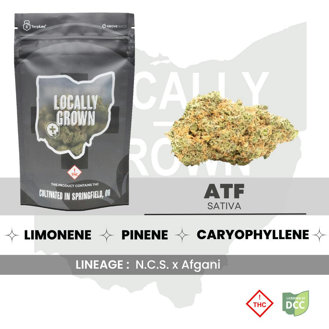 ATF (Sativa) - 1