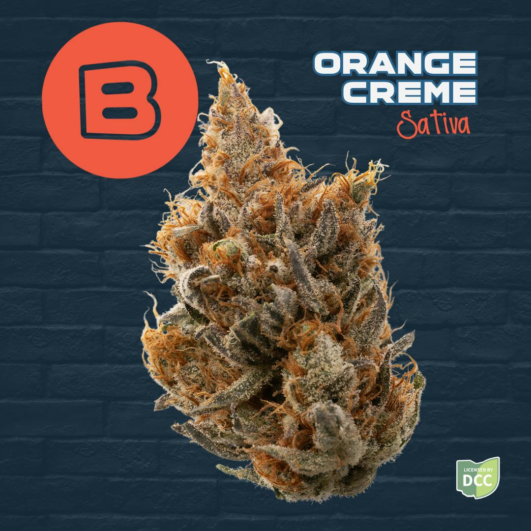 Orange Creme (Sativa)