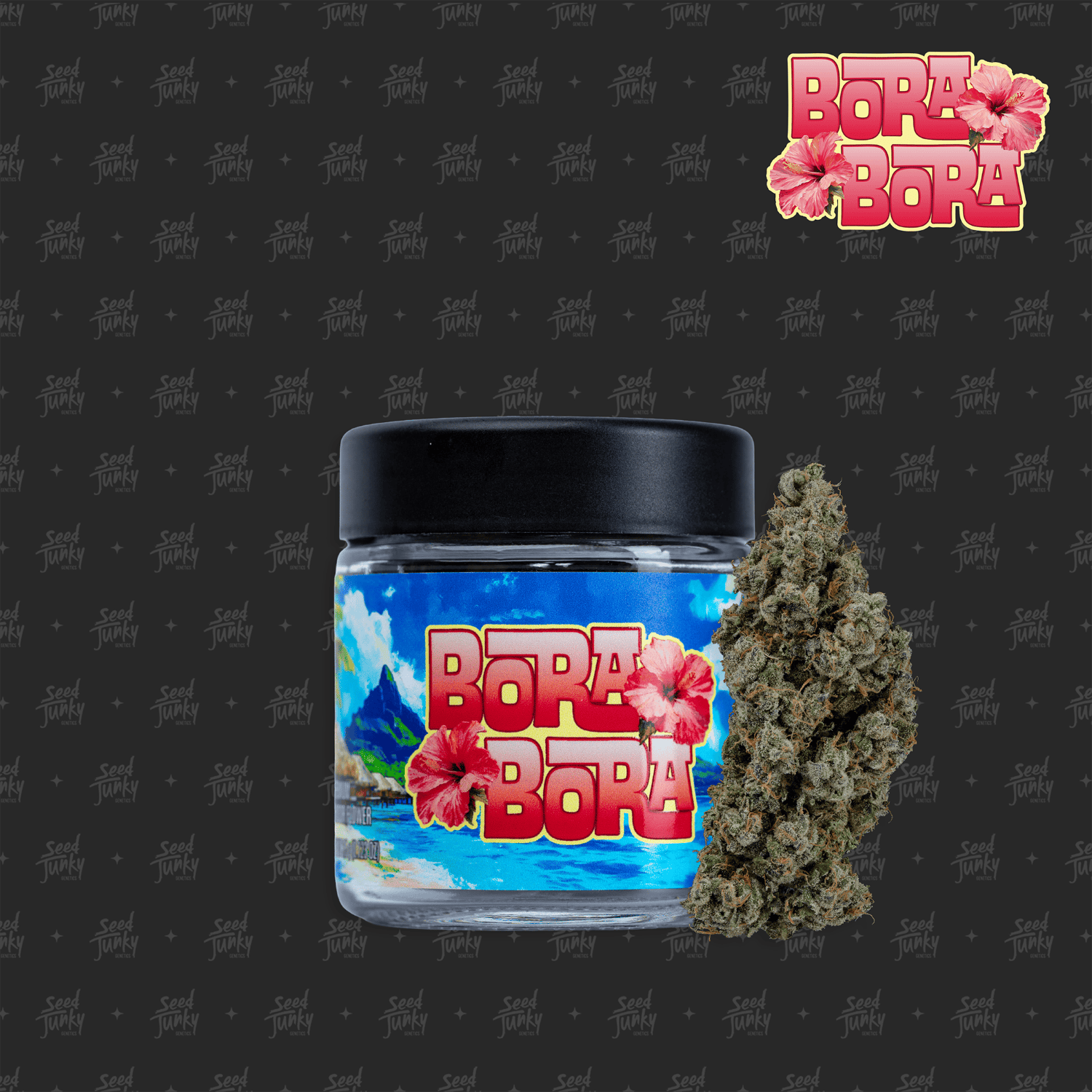 Seed Junky Genetics - 7g Bigs - Donut Peach