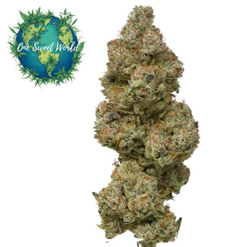 The Original GG#4 (H) Flower