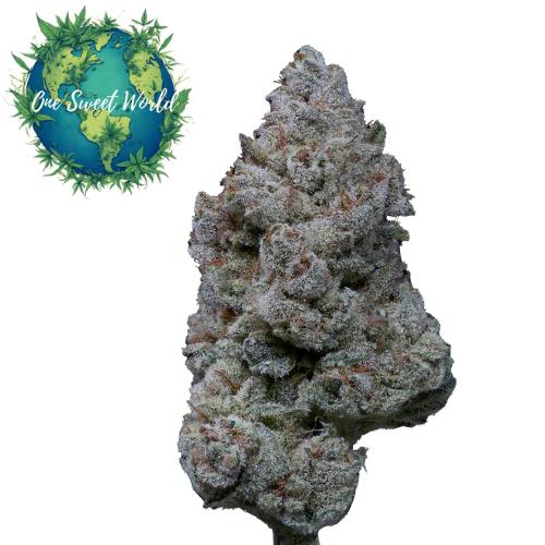 In House | Berry Strawnana Flower