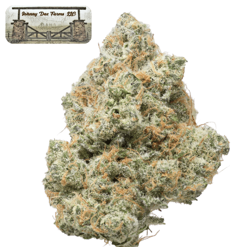 Johnny Dae | Mango Cream Flower