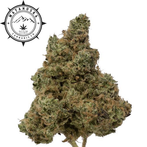 DJ Short Blueberry FLOWER (I)