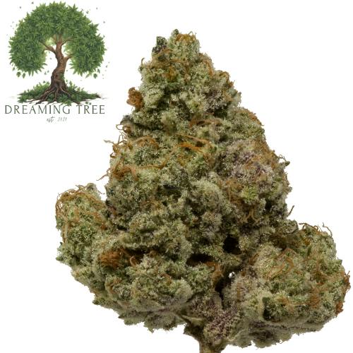 In House | Lemon Zpot Flower