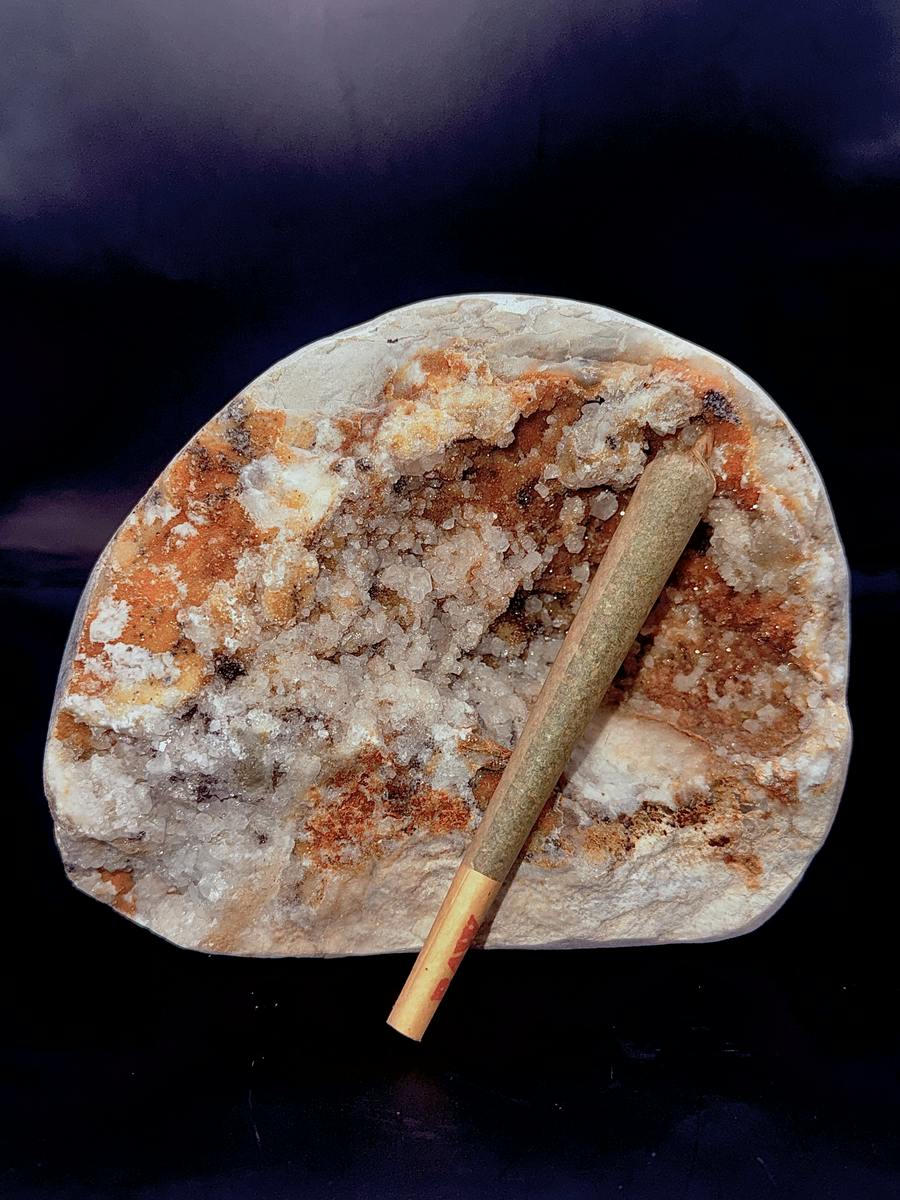 Apricot Scone