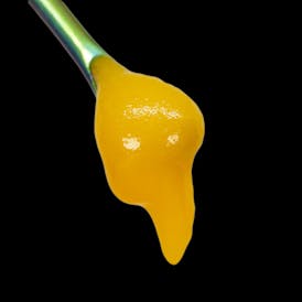 Harmony Extracts - Live - 1G - Gelato X Mimosa (H) - Badder