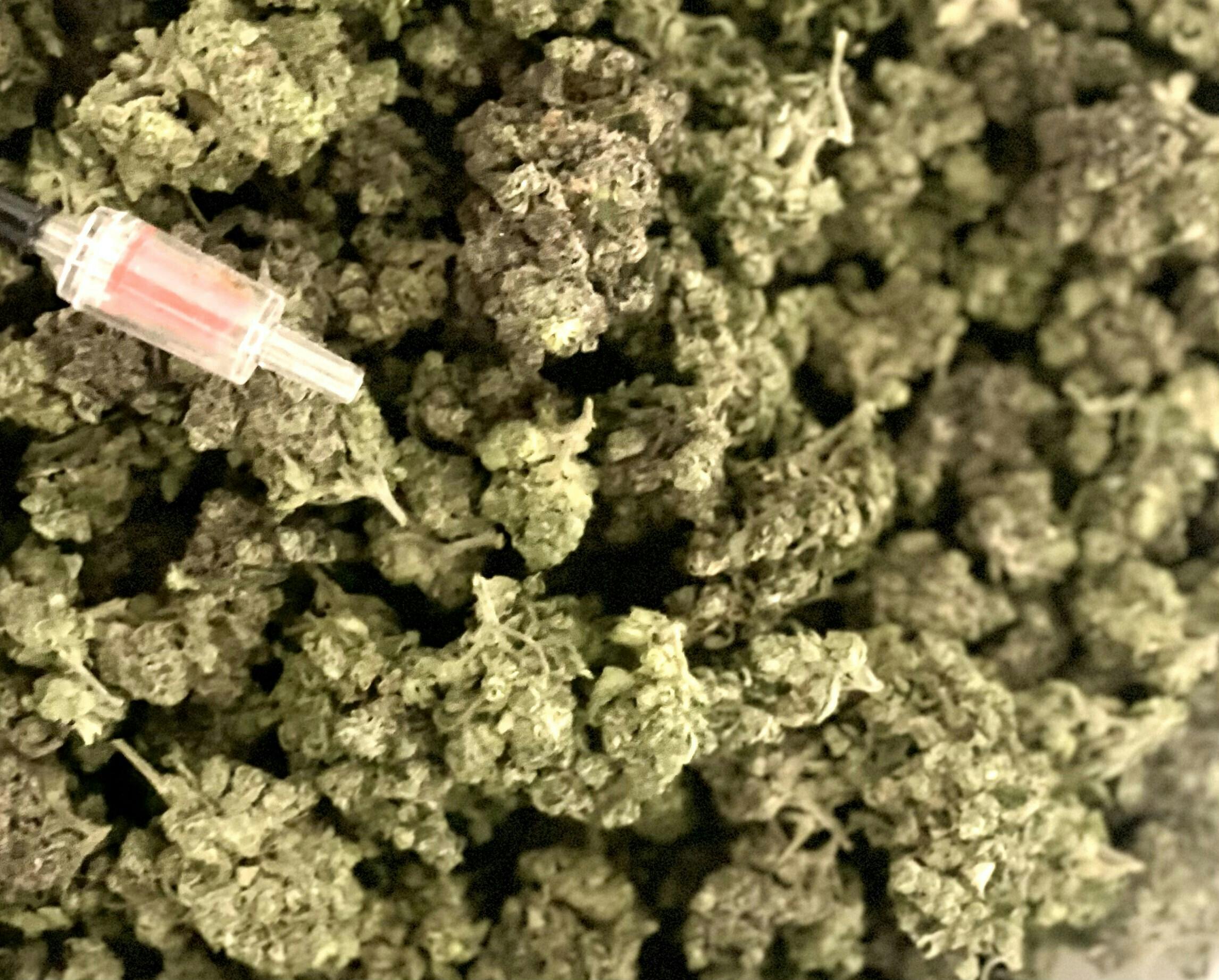 Banana Runtz | Flower | Bulk/Deli
