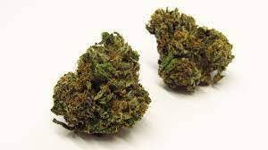 BB | Sherb Cream Pie | Flower | Bulk/Deli