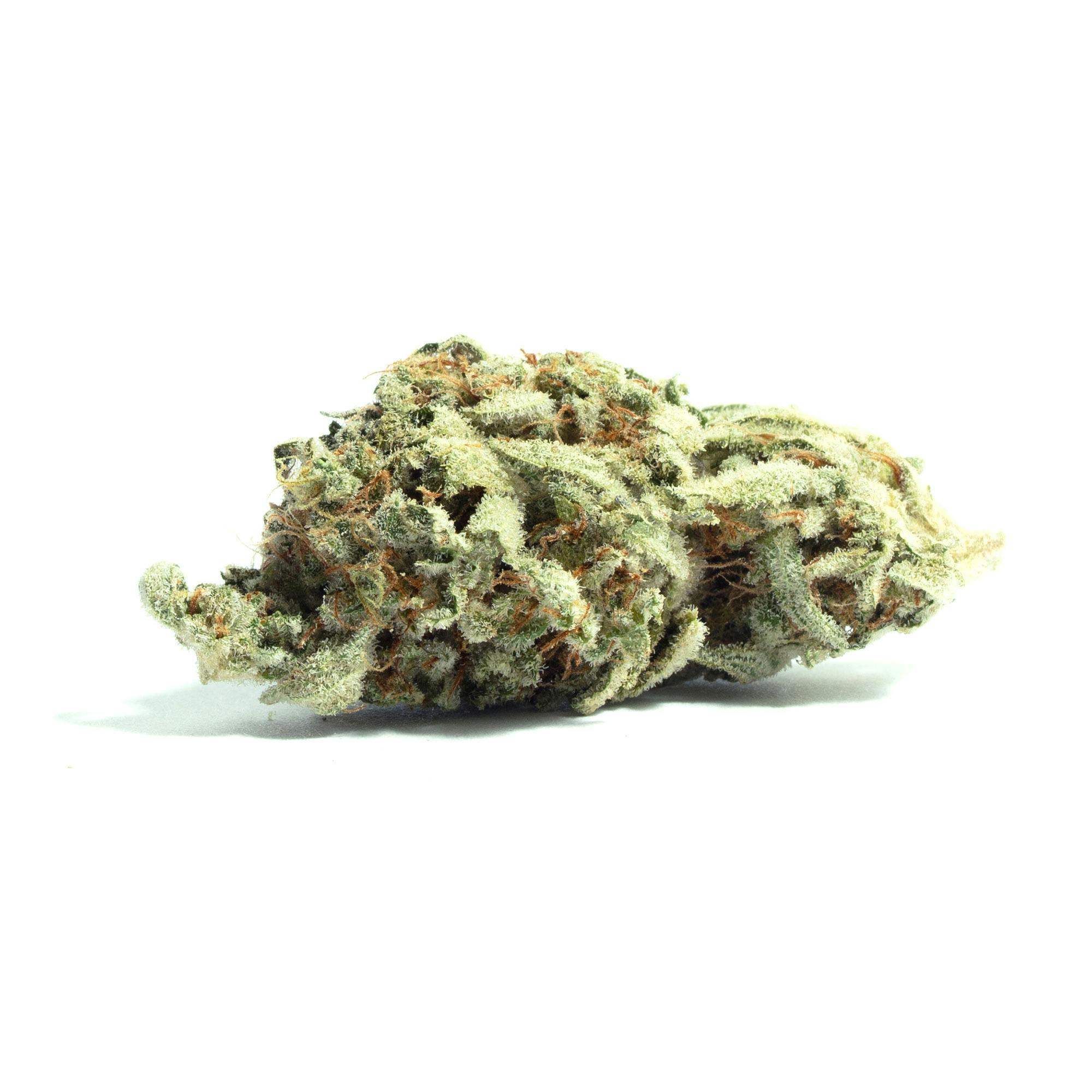 Propaganda | Stank Breath | Flower, 1/2 Oz (14 Grams)