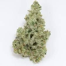 Propaganda | Cap Junky | Flower, 1/8th Oz (3..5 grams)
