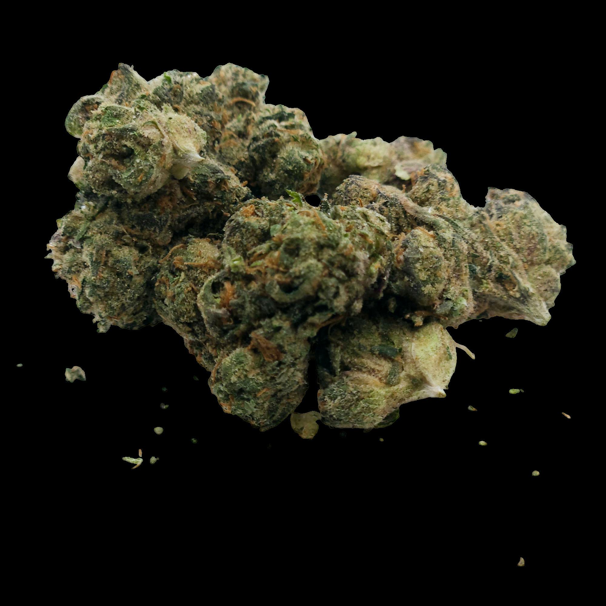 Tropicanna Banana | Flower | Deli