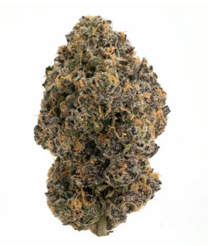 THC | Bolo Runtz | Flower | Bulk/Deli