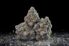GRG | Snow Bunny | Flower | Pre-rolls,