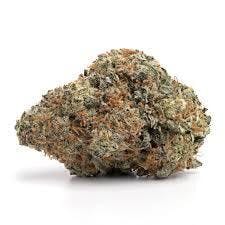 MJ Verdant | Pink Cookies | Flower | Bulk/Deli