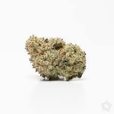 MJ Verdant | Tropical Rabbit | Flower | Bulk / Deli