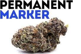Propaganda | Permanent Marker | Flower | Bulk/Deli