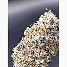 Propaganda | Hella Gas | Flower | Bulk/Deli