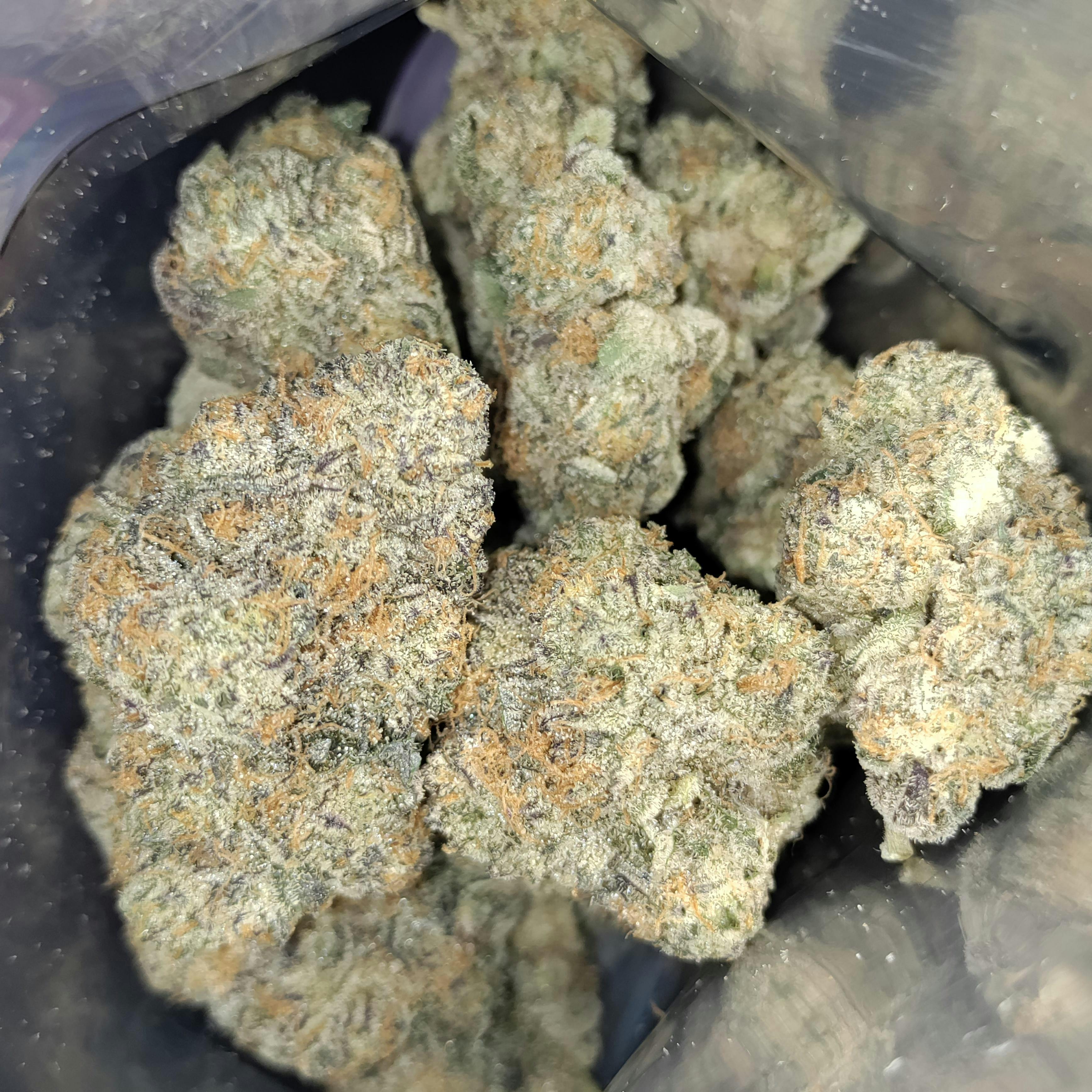 Propaganda | Cakelato | Flower | Bulk/Deli
